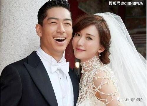 娱乐圈出轨吃瓜小说