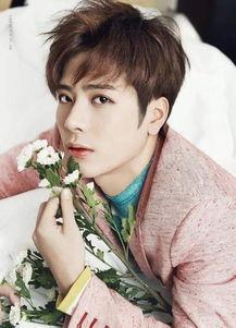 娱乐吃瓜君王嘉尔小说,娱乐圈的瓜田传奇